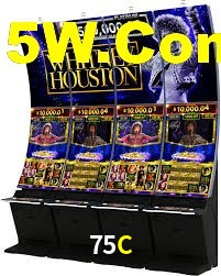 75C App Interface