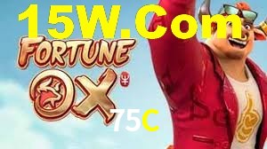 Premium Interface 75C